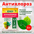 Фунгицид Антихлороз, 5 г - фото 2