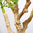 Дерево искусственное декоративное в кашпо, 150 см, Y4-3398 - фото 3