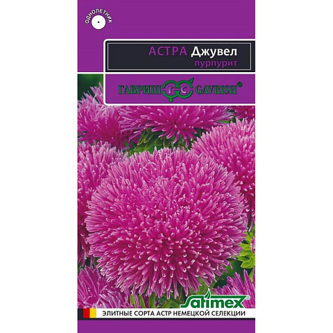 Семена Цветы, Астра, Джувел Пурпурит, 0.1 г, Эксклюзив, цветная упаковка, Гавриш