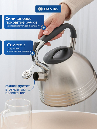 Чайник нержавеющая сталь, 2.7 л, со свистком, матовый, сталь 304, ручка с силиконовым покрытием, Daniks, индукция, PR-2201
