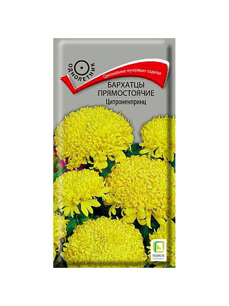 Семена Цветы, Бархатцы, Цитроненпринц, 0.4 г, прямостоячие, цветная упаковка, Поиск