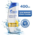 Шампунь Head &amp;amp; Shoulders, Цитрусовая свежесть, для всех типов волос, 400 мл - фото 8