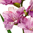 Цветок искусственный Гладиолус, 80 см, фиолетовый, Y4-6930 - фото 2