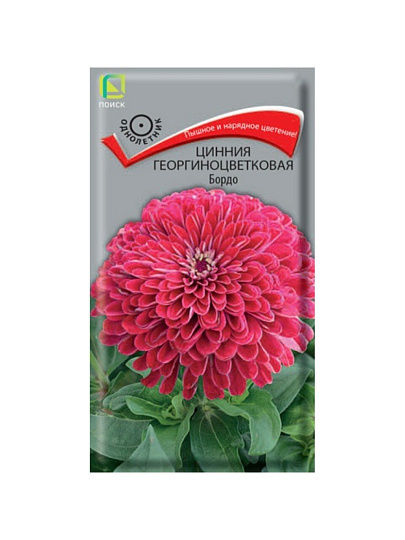 Семена Цветы, Цинния, Бордо, 0.4 г, георгиноцветковая, цветная упаковка, Поиск