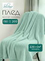 Плед 1.5-спальный, 150х200 см, велсофт жаккард, 100% полиэстер, Silvano, Popcorn, мятный, 150/019-PPC/CL