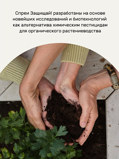 Фунгицид от мучнистой росы, 450 мл, спрей, Защищай!