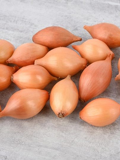 Луковицы Лук-севок, Сеттон, 0.5 кг