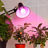 Лампа светодиодная для растений, E27, 14 Вт, 130-270 В, Б0050602, Эра, FITO-14W-RB-E27 - фото 6