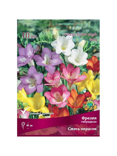 Луковицы Фрезия гибридная, смесь окрасок, 10 шт