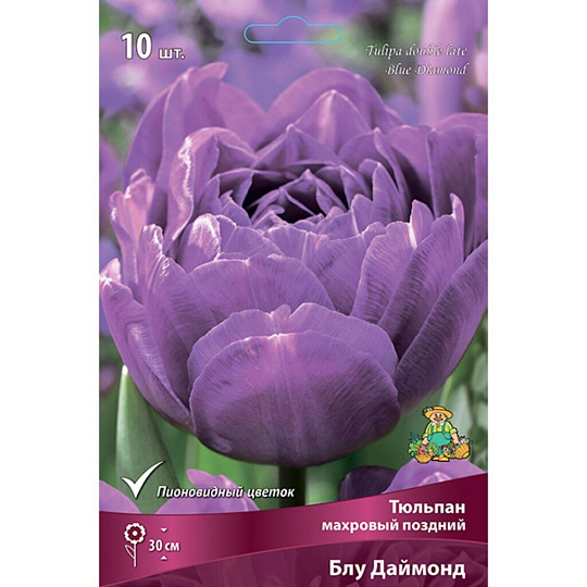 Луковицы Тюльпан махровый поздний, Блу Даймонд, 11-12/К, 10 шт