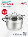 Кастрюля нержавеющая сталь, 3.4 л, крышка стекло, Катунь, Гамма, КТ20-D-20, индукция