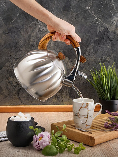 Чайник нержавеющая сталь, 3 л, со свистком, матовый, ручка бакелитовая в цвет дерева, Daniks, GS-04571/MSY-087