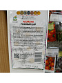 Семена Цветы, Агератум, Розовый шар, 0.1 г, цветная упаковка, Поиск - фото 2