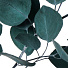 Цветок искусственный декоративный Ветвь, 60 см, зеленый, Y4-7163 - фото 2