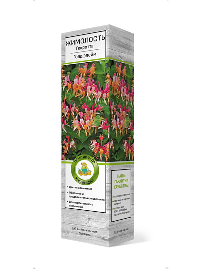 Саженцы Жимолость, Гекротта Голдфлейм, декоративная, 750878