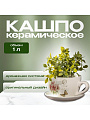 Горшок керамика, 1 л, 15х10.5 см, Розовые цветы чайная чашка малая, Y3-1291/318489