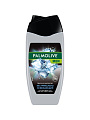 Гель для душа Palmolive, 3в1, для мужчин, 250 мл - фото 2