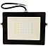 Прожектор светодиодный, IEK, СДО 06-50, 50 Вт, 6500 К, IP65, черный, LPDO601-50-65-K02 - фото 2