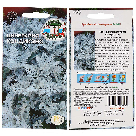 Семена Цветы, Цинерария, Кэндикенс, 0.1 г, листья пальчатораздельные, серебристые, цветная упаковка, Седек
