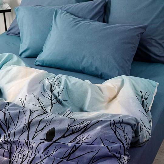 Постельное белье евро, простыня 215х240 см, 2 наволочки 70х70 см, пододеяльник 200х215 см, Ночь нежна, поплин, Черная птица