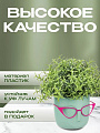 Кашпо пластик, 0.65 л, 11.5х10.5 см, со вставкой, белый ротанг, Idea, Мари, М 3075 - фото 3