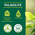 Шампунь Palmolive, Зеленый чай, против перхоти, 380 мл - фото 3