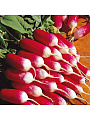 Семена Редис, 18 Дней, 6 г, 200% NEW, цветная упаковка, Русский огород - фото 2