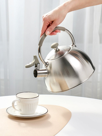 Чайник нержавеющая сталь, 2.5 л, со свистком, матовый, ручка силикон, Катунь, индукция, серебристый, КТ-149