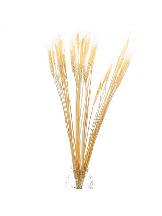 Цветок искусственный декоративный Колосья, 70 см, песочный, Y6-10402
