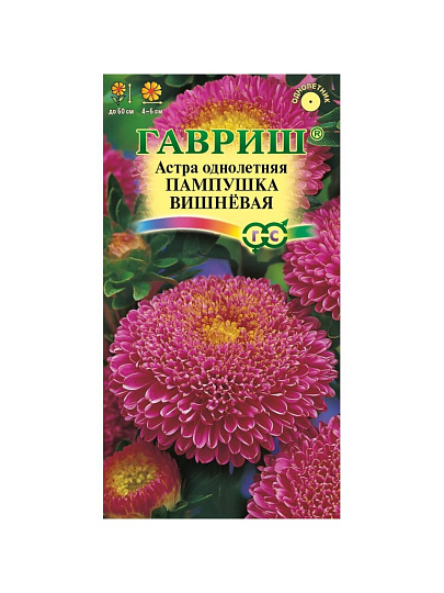Семена Цветы, Астра, Пампушка вишневая, 0.3 г, однолетняя, помпонная, цветная упаковка, Гавриш