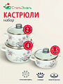 Набор посуды эмалированная сталь, 3 предмета, кастрюли 1.5,2,4 л, индукция, СтальЭмаль, Весенний романс, 1КА071S
