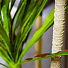 Дерево искусственное декоративное Пальма, в кашпо, 195 см, Y4-3379 - фото 3