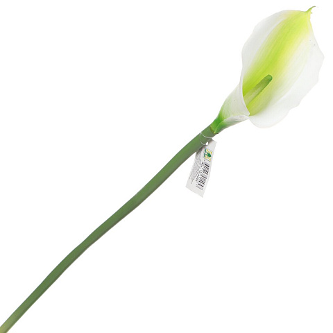 Цветок искусственный декоративный Калла, 70 см, нежно-зеленый, 16-0025