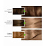 Краска для волос, Garnier, Color Naturals, 7.1, ольха, 110 мл - фото 5