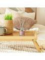 Аромадиффузор Arida Home, 50 мл, Лаванда, АР 100-002