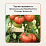 Удобрение Биомолекулы, для овощей, 400 мл, Удобряй - фото 8