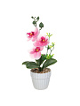 Цветок декоративный Орхидея, в кашпо, пластик, 3 цвета, 25 см, 597-287