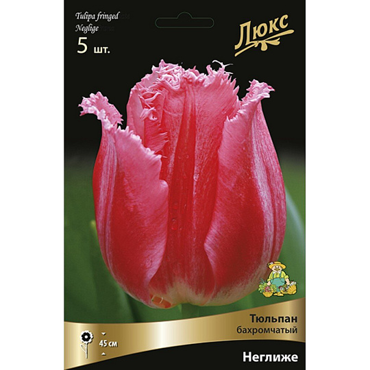 Луковицы Тюльпан бахромчатый, Неглиже, 12+/К, 5 шт