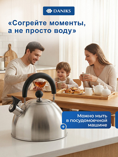 Чайник нержавеющая сталь, 2.5 л, со свистком, матовый, ручка пластиковая, Daniks, индукция, MSY-021M