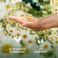 Шампунь Herbal Essences, Ромашка, 350 мл - фото 6