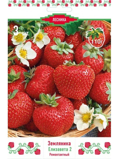Саженцы Земляника садовая, Елизавета 2, 3 шт, 678352