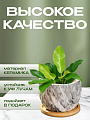 Горшок керамика, 0.2 л, 8.5х8.5х7 см, для кактусов и суккулентов, Мини, Y4-5358 - фото 4