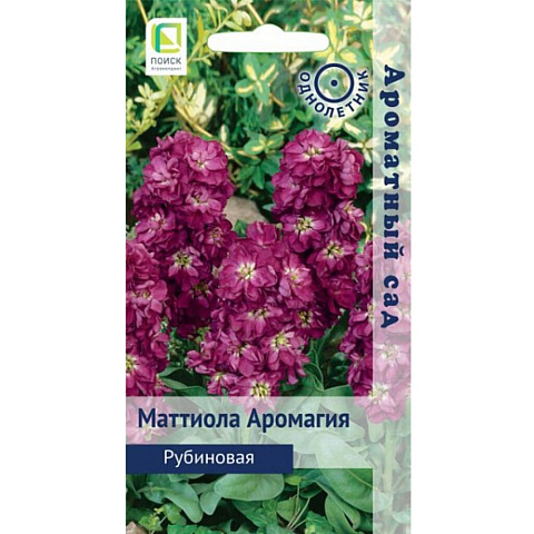 Семена Цветы, Маттиола, Аромагия Рубиновая, 10 шт, Ароматный сад, цветная упаковка, Поиск