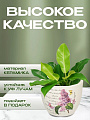 Кашпо керамика, 0.2 л, 6.5х8х8 см, в ассортименте, Цветы малый, Y3-1294/318492