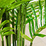 Дерево искусственное декоративное Пальма, в кашпо, 150 см, Y4-3382 - фото 3