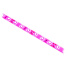 Лента светодиодная для растений, 18 Вт, IP65, 2 м, Эра, FITO-Strip Light-RB, Б0057282 - фото 3