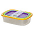 Контейнер пищевой пластик, 0.5, 1, 1.6 л, 3 шт, в ассортименте, прямоугольный, 0.5, 1, 1.6 л, Sparkplast, BioFresh, IS10707 - фото 3