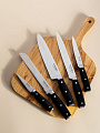 Набор ножей 6 предметов, 20, 20, 20.5, 12.5, 9 см, сталь, рукоятка пластик, с подставкой, дерево, Daniks, Black, YW-A325 - фото 8