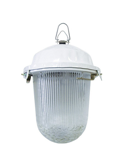 Светильник TDM Electric, 02-100-001.01 У2, настенный, 100 Вт, сталь, 17.2х24.6 см, НСП