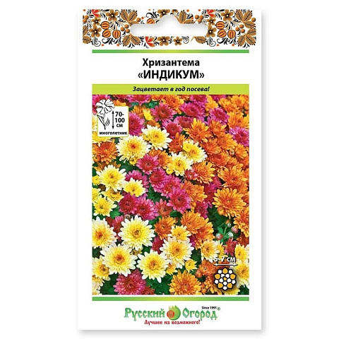 Семена Цветы, Хризантема, Индикум, 50 шт, цветная упаковка, Русский огород